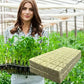 🌼 50 % RABATT NU! 🌼Jordlös odling av plantor