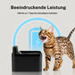 🔥50% RABATT 🎉🚀Smart kattvattendispenser🐱
