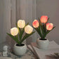 🔥 50% RABATT! 🔥LED tulpan nattlampa blomsterbordslampa🌷