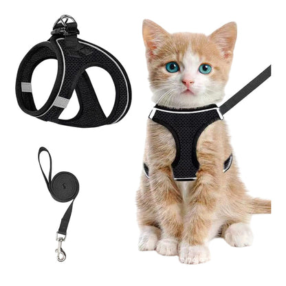 ✨50% RABATT! ✨Reflekterande set med sele och koppel i mesh för katter och små hundar