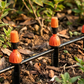 🔥50% RABATT NU!🔥 DIY Micro Drip Irrigation Kit
