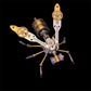🔥50% RABATT NU!🔥 3D Metal Bee Puzzle Assembly Model Kit