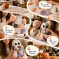✨50% RABATT NU! ✨Lilla Spökets Mysiga Halloween DIY Lapparbetskit