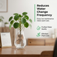 💧50 % RABATT!🌿  Vattenreningstabletter – Tar bort alger och grumlighet, håller vattnet till växterna kristallklart. En tablett ger omedelbara resultat! 🌱✨