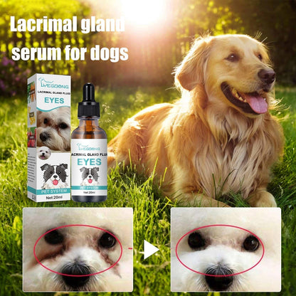 🐶 50% RABATT! Ögonrengöring & Droppar för Husdjur – Skonsam pH-balanserad formel, säker för hundar & katter. Lindrar rödhet, tar bort tårfläckar & daglig smuts. Utan peroxid! 🌿💧