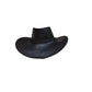 ✨50% RABATT NU! !✨Vintage bredbrättad cowboyhatt med rem