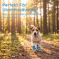 🔥 Sista dagen specialpris💥⚡Lätta halkfria hundstövlar i nät ☀️🐶 | För alla underlag inomhus och utomhus🐾