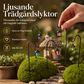 🌿 Lysande växtpinnar i mörker – 50 % RABATT! 7 färger, premiumharts, stabila järnkrokar – magisk trädgårdsdekoration. 🌙