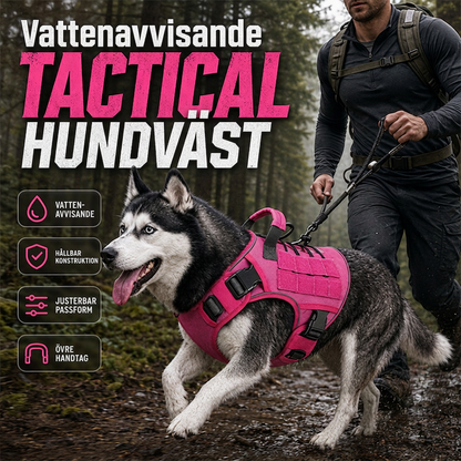📢📢50% RABATT NU!! ⏰Hundsele i slitstarkt Oxfordtyg