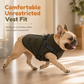 Warm Winter Dog Coat with Reflective Strips and Harness for Small and Medium Dogs