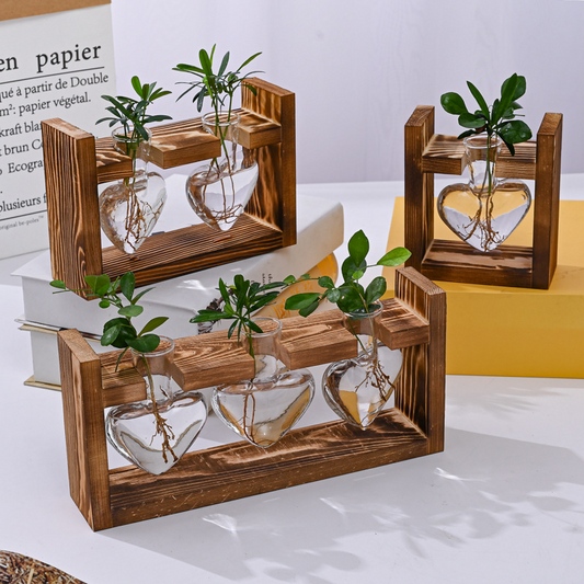 📢📢50% RABATT NU!! ⏰Hydroponisk glasvas med rustik träställning för sticklingar och växter