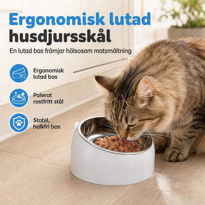 ✨50% RABATT NU! !✨Tecknad kattformad skål i rostfritt stål för husdjur, dubbel mat- och vattenskål för katter och små hundar